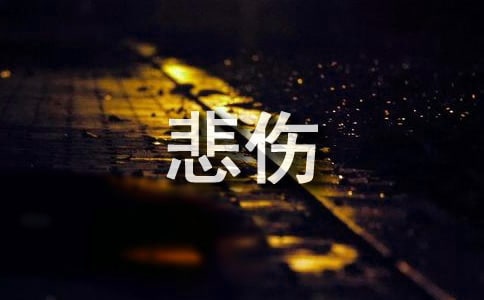 2024PZ䛼\89l