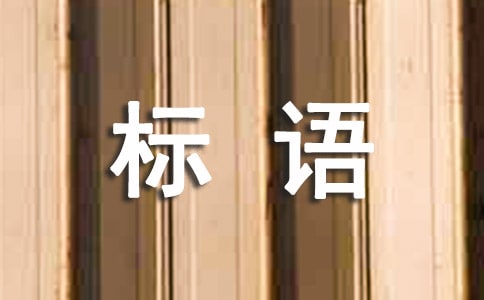 r彨OZ