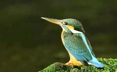 ں߅ĴB