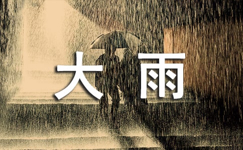 2024年精選形容大雨的句子28句