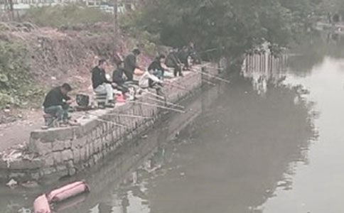 （實用）釣魚優秀作文15篇
