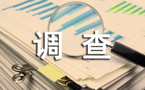 調查優秀作文2篇