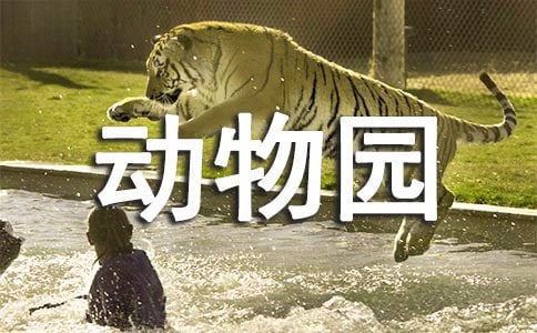 參觀動物園日記九篇