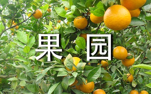 @Iаͬ