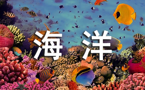 茑^ľ