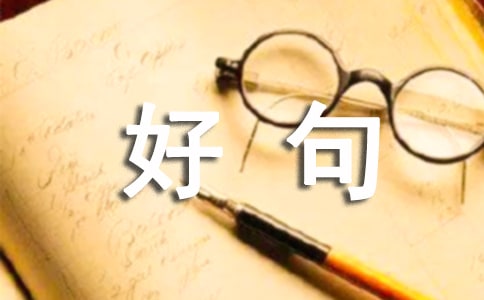 P茑ĺþö