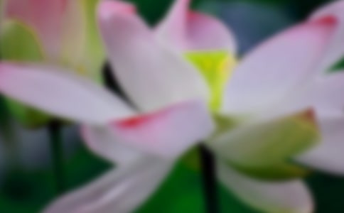 ɻ̰̌WOӋ