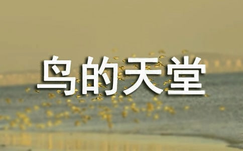 СW꼉ZġBá̰ͨ11ƪ