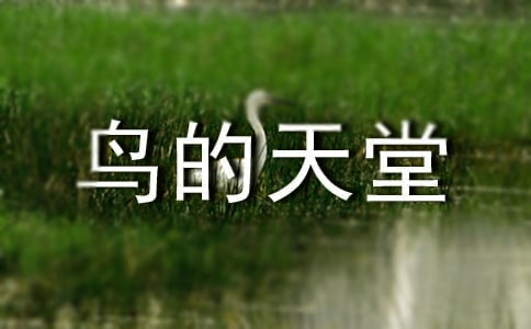 꼉σZBý̰