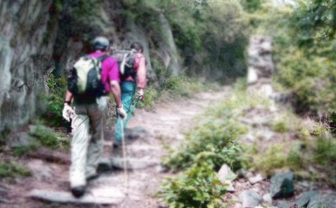 有關爬山日記范文集錦五篇