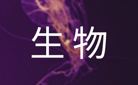 ̰ģ弯\9ƪ