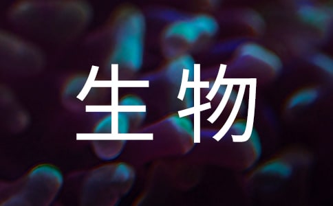 P̰ƪ