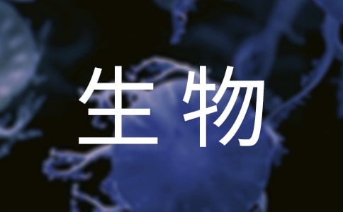 ̰
