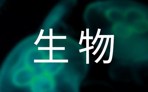 꼉̰ϼ10ƪ