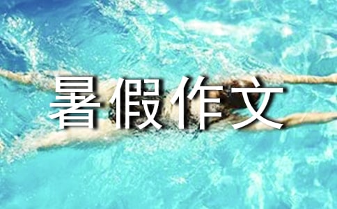 酸甜苦辣的暑假作文