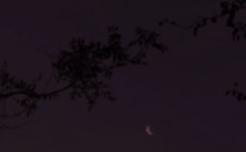 ܰӅRͨ80䣩