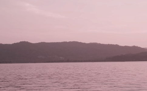 PСW3ƪ