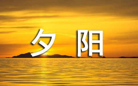 2025ϦꖵľӼ31l