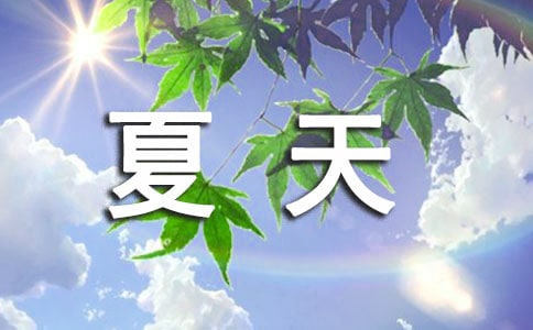 꼉茑6ƪ