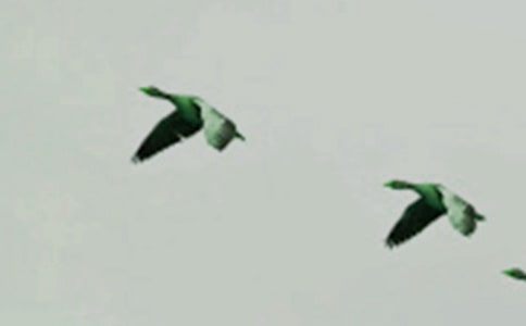 ܂СB