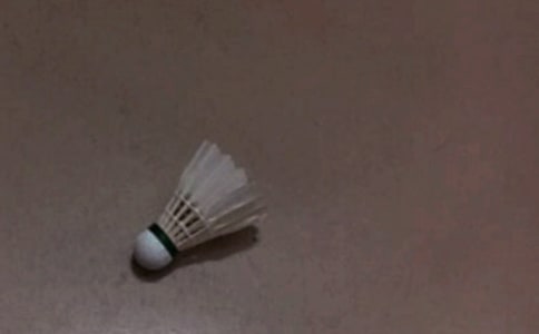 我學會了打羽毛球(優選)