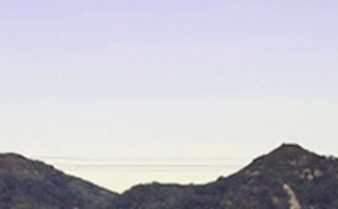 簲Z