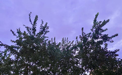 ͨϵ簲ZZ40
