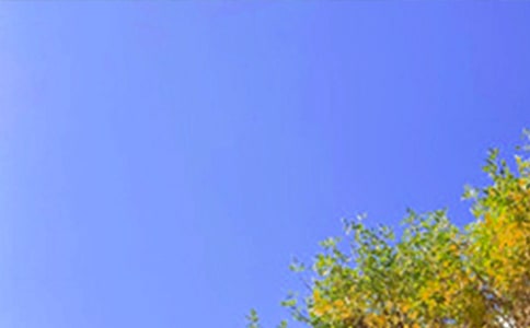 εΨ簲ZZ䛴󼯺51l