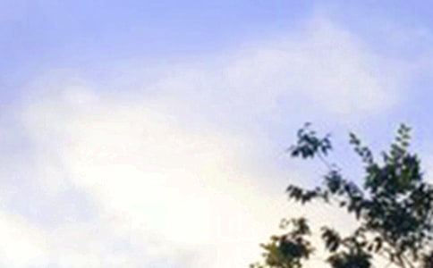 2024ꃞ簲ZZ䛼\36