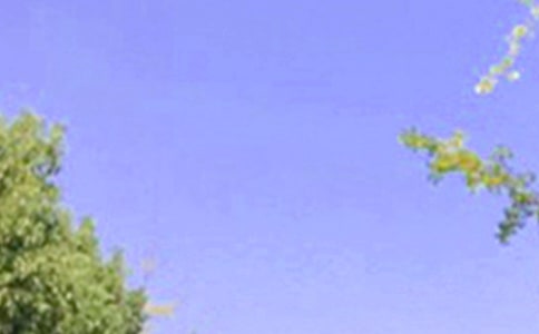 ˵簲ZZ23l