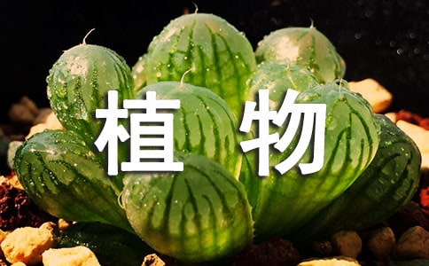 Ʒֲʮƪ