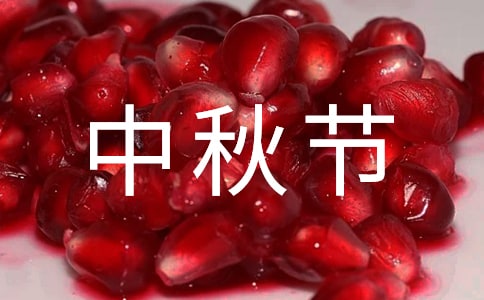 ʮ﹝꼉ģx6ƪ