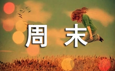 【精選】小學生周末作文300字三篇