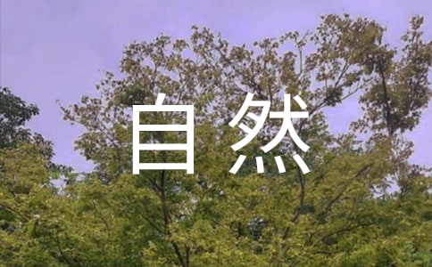 ׌Ȼ¶ģx28ƪ