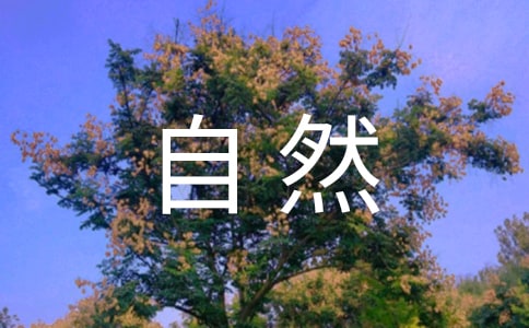 õĴȻ300ƪ