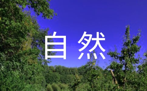ȻYԴĿ˾ռĽ̰